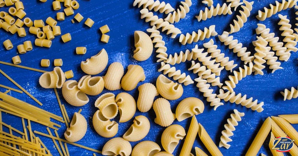انواع ماکارونی شکل دار