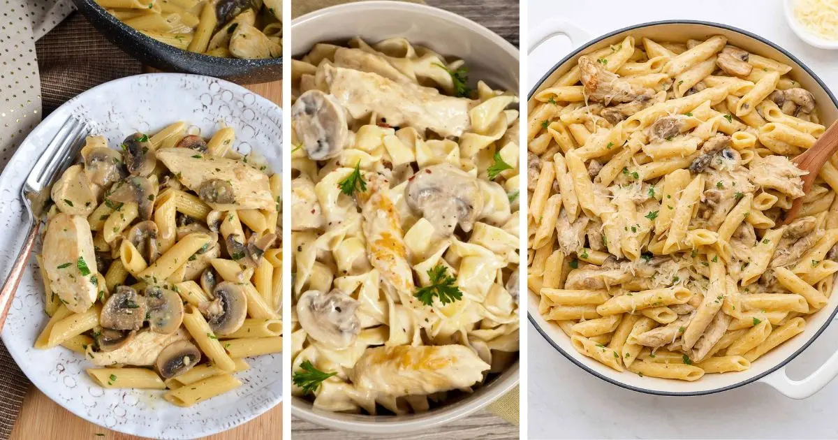 پاستا مرغ و قارچ