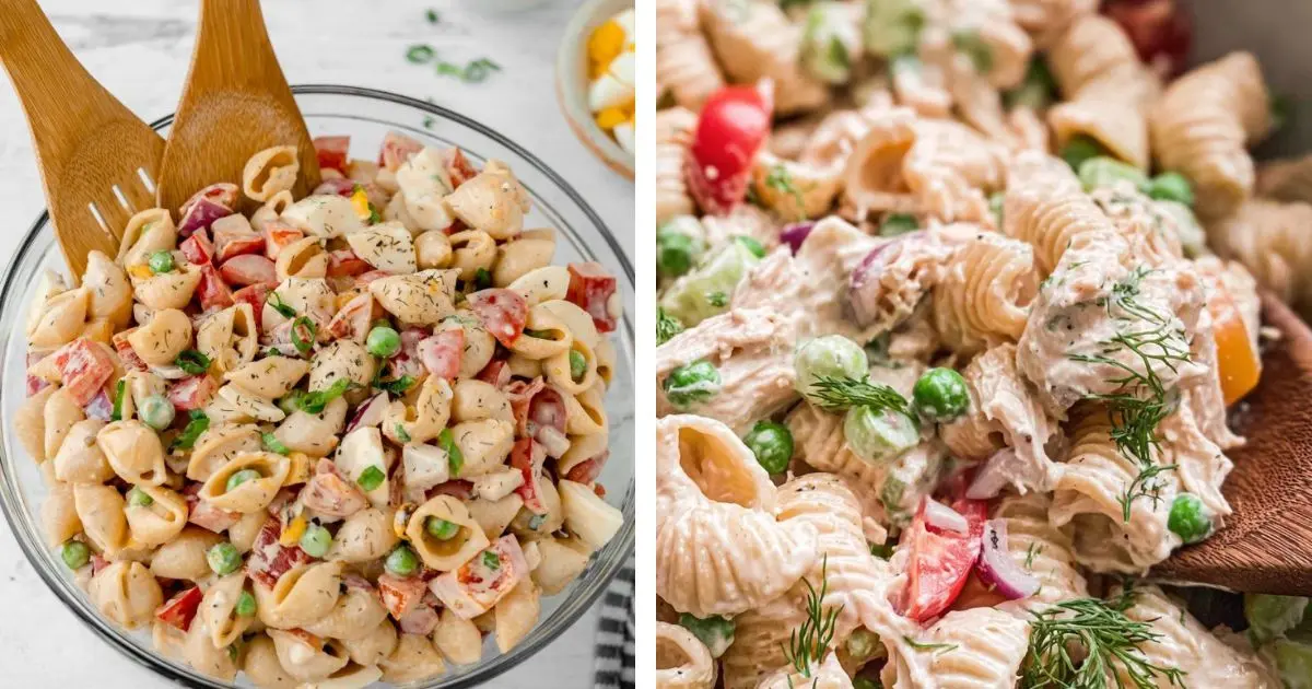 سالاد ماکارونی کلاسیک ایرانی با ماکارونی صدفی